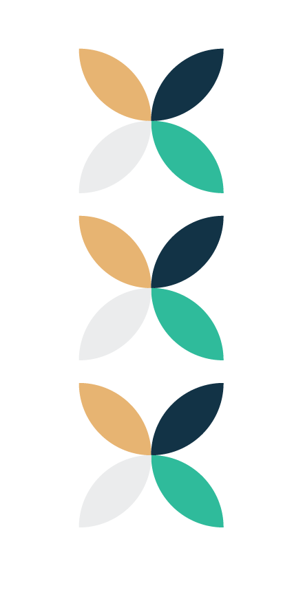 WEBSITE-02